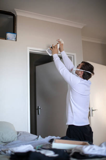 Best Black Mold Removal  in Reidville, SC