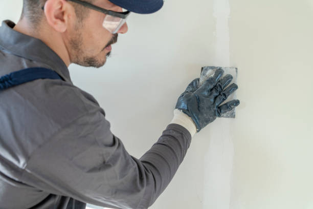 Best Asbestos and Lead Testing During Mold Inspection  in Reidville, SC