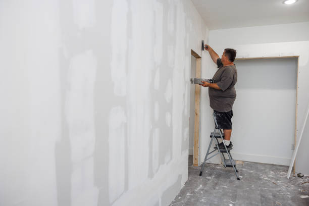 Reidville, SC Mold Removal Company